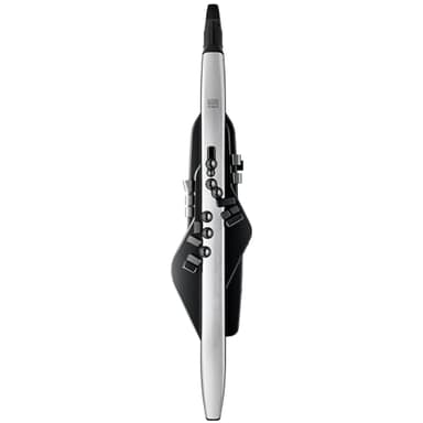 Roland AE-30 Aerophone Pro | Professional Digital Wind Instrument | OLED Display | Premium Build & Pro Connectivity | Powerful Onboard Editing Tools | Over 300 Sounds | Bluetooth Connectivity