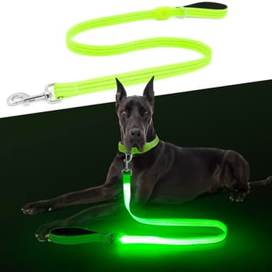 LED Dog Leash, Light Up Dog Leash 4 Ft Fully Illuminated USB Rechargeable Waterproof, Nylon Reflective Leashes with Padded Handle for Dogs Night Walking, Safety Glow in The Dark for Large Medium Pets