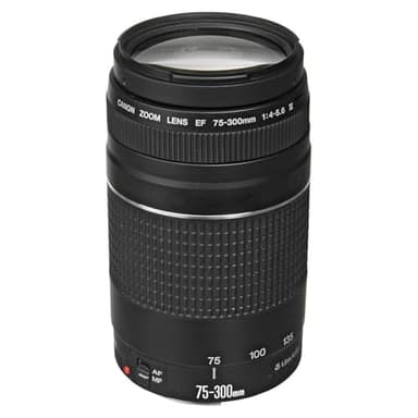 Canon EF 75-300mm f/4-5.6 III Telephoto Zoom Lens for Canon SLR Cameras, 6473A003 (Renewed)