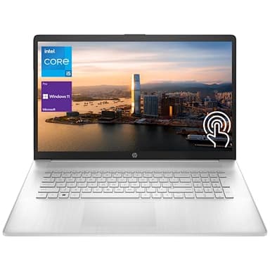 HP Latest Business Professional Laptop, 17.3" HD+ Touchscreen, Intel Core i5-1334U, 16GB RAM, 1TB SSD, Webcam, HDMI, FP Reader, Backlit KB, Wi-Fi 6, Windows 11 Pro, Silver