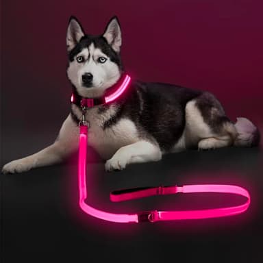 Colaseeme Light Up Dog Leash, LED Pet Leashes USB Rechargeable, Glow Safety Dogs Lights at Night (6FT,Pink)