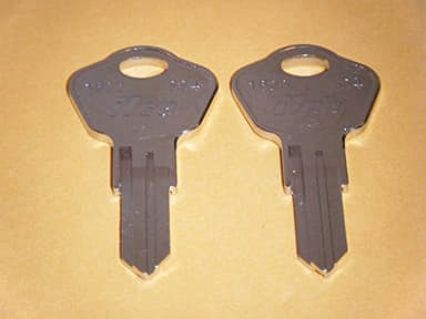 Sentry Safe 3F2 Replacement Keys - Cut Keys Work Out of Envelope - Check Your Lock - Fits Sentry Safe 1100 1160 1170 1200 HO100 1170BLK H0100 & More