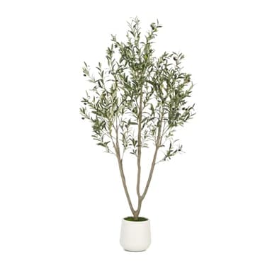 VIVATREES Olive Trees Artificial Indoor, 6FT Tall Faux Olive Tree with White Tall Planter, Artificial Plants with Natural Wood Trunk and Lifelike Fruits for Home Office Decor