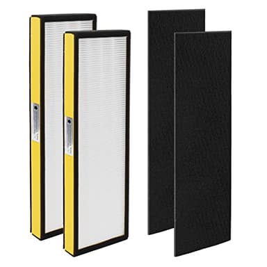 FLT4825 Replacement Filter B Replaces AC4825 AC4825DLX AC4825E replacement filter (FLT4825 hepa filter b replacement Pack of 2 x HEPA Filters + 2 x Carbon Pre-Filters) by Blutoget