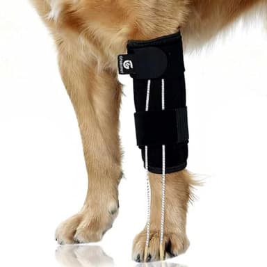 GFKRHPNY Dog Front Leg Support Brace for Foot Drop, Canine Knuckling Prevention, Toe Dragging Assistance