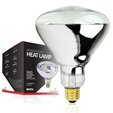 BULBMASTER 250 Watt Heat lamp Bulb for Bathroom R40 Incandescent Shower Heat Lamp Clear Infrared Bath Light 250R40 Chicken Light Bulb E26 Base 1 Pack