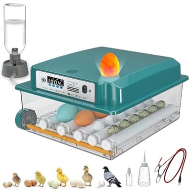 CoInceptus 16 Eggs Incubators for Hatching Eggs, Egg Incubator with Automatic Egg Turning and Temperature Control, Chicken Egg Incubators with Egg Candler for Duck Goose Pigeon Quail