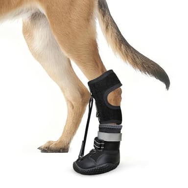 Idepet Dog Drop Foot Brace Strap On (No Knuckling Boot Brace) — Dog Boot Leg Braces for Leg Support, Dog Shoes Lift Toes for Foot Issues, Arthritis, Pet Corrector for Dogs (5)