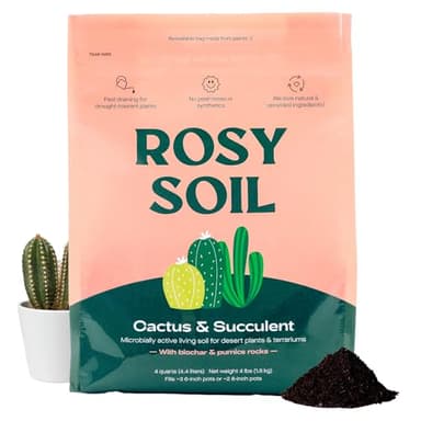 Cactus and Succulent Organic Potting Soil Mix for House Plants - Fast Draining, Root Boosting, Peat-Free, Less Prone to Gnats - Drought-Tolerant - Growth of Aloe Vera, Cacti and Indoor Succulents- 4qt