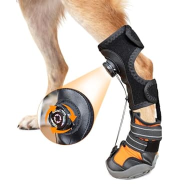 YAQUHO No Knuckling Brace for Dogs - Drop Foot Support with Adjustable Reel, Corrective Outdoor Pet Shoes - Helps Lift Toes for Nerve Conditions, Arthritis & Mobility Issues (L)