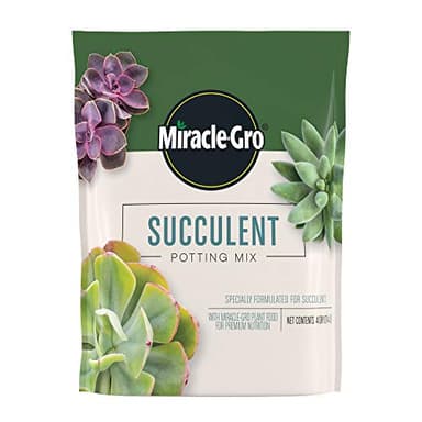 Miracle-Gro Succulent Potting Mix - Potting Soil Mix for Indoor Succulents, Aloe Vera and More, Made with Miracle-Gro Plant Food, 4 qt.
