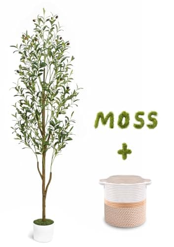 Waipfaru Artificial Olive Tree, 6FT Tall Faux Olive Trees with Planter & Basket, Artificial Plants Indoor with Natural Wood Trunk and Realistic Fruits for Home Decor Office Living Room