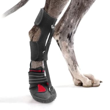 Strap-On Drop Foot Brace (No Knuckling Boot Brace) for Dogs— Corrective Dog Shoes to Safely Lift Toes for Foot Issues, Arthritis, and improving Walking gait in Dogs, Patent Pending(XL)