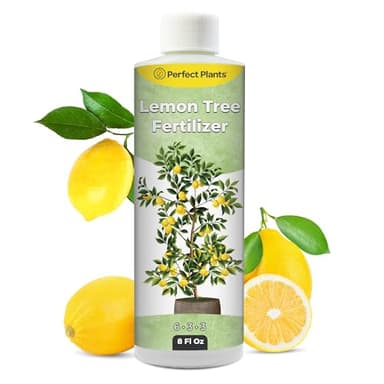 Liquid Lemon Tree Fertilizer by Perfect Plants | Citrus Plant Food for Fast Growth and Happy Live Lemon Trees | 6-3-3 Formula Rich in Nitrogen and Other micronutrients (8oz)