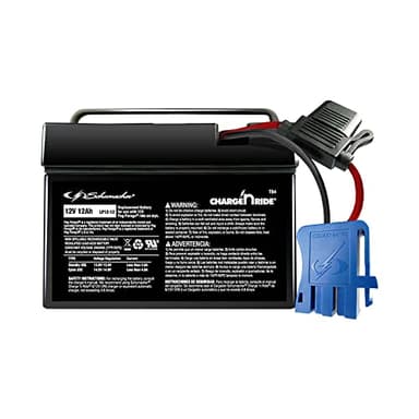 Schumacher Electric 12V Battery for Ride on Toys - TB4 12V 12 Amp Hours with Replaceable Fuse - Rechargeable 12V Ride On Replacement Battery for Peg Perego Vehicles - Safe & Easy to Use