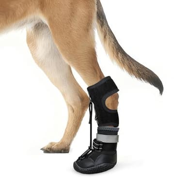 Idepet Dog Drop Foot Brace Strap On (No Knuckling Boot Brace) — Dog Boot Leg Braces for Leg Support, Dog Shoes Lift Toes for Foot Issues, Arthritis, Pet Corrector for Dogs (7)