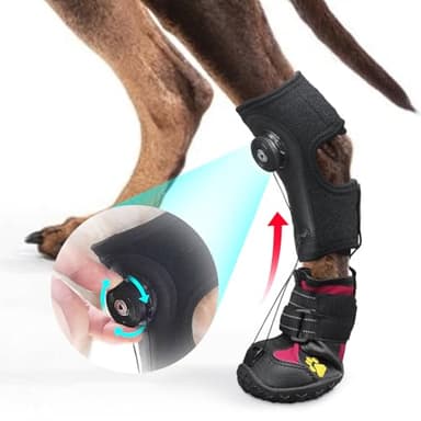 Drop Foot Brace with Reel(No Knuckling Boot Brace) for Dog - Corrective Dog Shoes to Safely Lift Toes for Foot Issues, Arthritis, and improving Walking gait in Dogs,Patent Pending(M)
