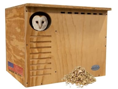 JCS Wildlife Barn Owl Nesting Box Large House Crafted in USA - Exterior Grade Treated Plywood - Mounting Hardware and Pine Shavings Included - Dedicated Clean Out Door for Easy Cleaning