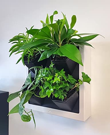 STEADY HOME Self-Watering Wall-Mounted Planter Indoor/Outdoor Decor with 4 Pots, Easy to Use Living Wall Planters to Create Vertical Garden, Vertical Planter for Home(White)