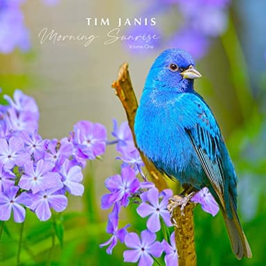 Tim Janis Morning Sunrise Volume One - Relaxing Music CD, Traditional Instrumental Hymns CD, Sounds for Relaxation, Stress Relief, and Meditation - Soothing Piano Calming Music Audio Tim Janis