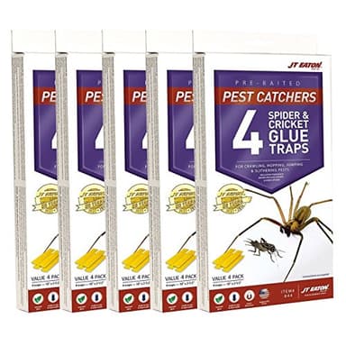 J T Eaton Spider and Cricket Glue Trap (Pack of 5)
