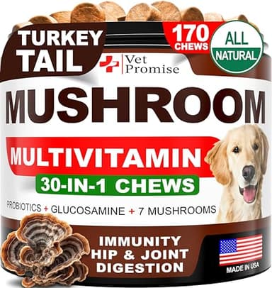 Turkey Tail Mushroom for Dogs - 170 Chews - Mushroom Supplement for Dogs - Lions Mane - Reishi - Immunity Support Multivitamin Vitamins - Joint Health - Energy - Gut - Skin - Made in USA