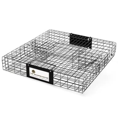 Rugged Ranch Squirrel Trap, Live Animal Catch & Release Cage, Squirrelinator, Black - Humane Indoor and Outdoor Catcher for Chipmunks and Squirrels