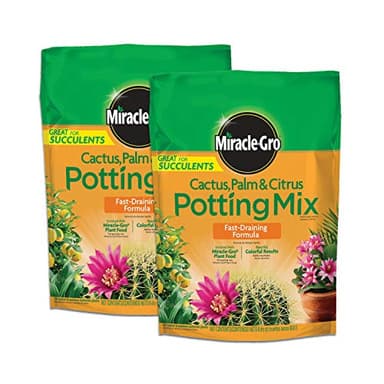 Miracle-Gro Cactus, Palm and Citrus Potting Mix, for Indoor or Outdoor Potted Plants, Great for Succulents, 8 qt., 2-Pack
