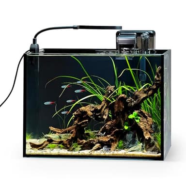 NICREW 2.5 Gallon Nano Nature Aquarium Kit, Ultra-Clear Rimless Desktop Fish Tank with Light and Filter, Perfect for Small Fish, Shrimp, or Betta, Basic Version, Black
