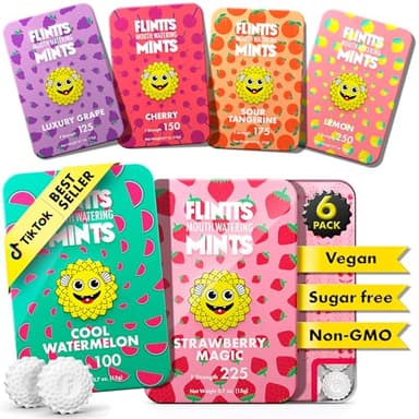 Flintts Mints Fruit Troop – Sugar Free Mouthwatering Mints for Dry Mouth Relief & Freshness – Vegan Oral Health Support with Sparkle Effect – Pocket Travel Saliva Substitute, Lozenges Alternative
