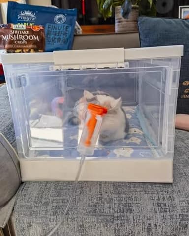 ENHEN Transparent Nebulizer Chamber for Kitten, Pet Dedicated Asthma/Bronchitis/Allergic Reactions Spray Oxygen Inhalation Tent, Cat Dog Brooder Nursery(Small)