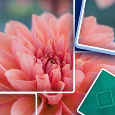 Puzzle Jigsaw Pic Solitaire: Single Player Image Challenge