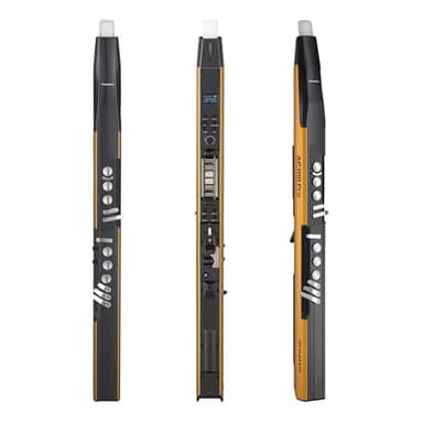 AP 300 Pro Electronic Wind Instrument with Bulit in OTG Recording and LCD Display Screen. 108 Global Tones Digital Saxophone with 6000Ah Battery and Bluetooth for Right-Handed Players Only (Golden)