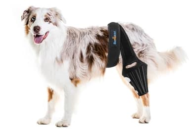 Bawektrl Dog Knee Brace for Dogs Rear Legs, Cruciate Ligament Care Stifle Knee Brace for Dogs Luxating Patella,Strong Support to Reduce Joint Pain and Muscle Sore, with Side Stabilizers for Back Leg