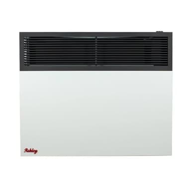 Ashley Direct Vent Wall Heater Dual Fuel 25,000 BTU
