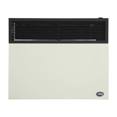 Ashley DVAG Direct Vent Liquid Propane Wall mounted Heater (30,000)