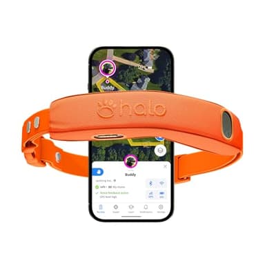 Halo Collar 5 Wireless Dog Fence & GPS Dog Collar, Keep Your Dog Safely Contained Outdoors with App-Controlled Boundaries and Real-Time Tracking, One Size, Blaze