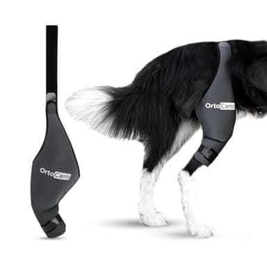 Ortocanis - Dog Knee Brace - for Left Hind Leg - Made of ARD Neoprene - for ACL Tear, Ligament Injuries, Patellar Luxation or Osteoarthritis - Size Large (12,3-14,2 ")