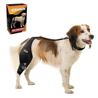 CHAMIN Adjustable Dog Knee Brace for Torn ACL Hind Leg, Support for Tear Ligament, Osteoarthritis, Rear Leg Limp, Recovery After Surgery,et(Right Leg,L)