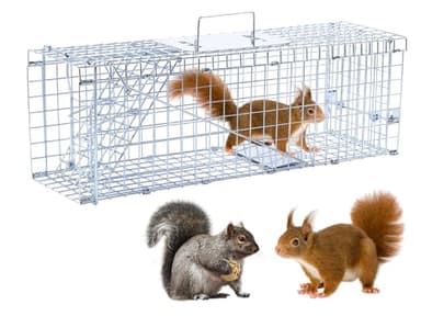 24” Humane Animal Trap Live Animal Trap Cage for Squirrels Small Stray Cats Rabbits Groundhogs Moles Gophers and Chipmunks up to 5.5 lbs Galvanized Rustproof Live Animal Cage Trap
