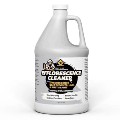 RadonSeal Efflorescence Remover - Cleans Efflorescence, Mortar Haze, Lime, and Rust Stains