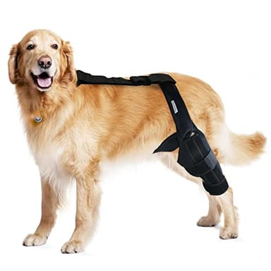 MerryMilo Dog Knee Brace for Torn ACL & Hind Leg Support – Adjustable Dog Hip & Leg Brace for Cruciate Ligament, Arthritis Relief, Joint Stability & Injury Recovery, Size: S 4.7'-8.8'