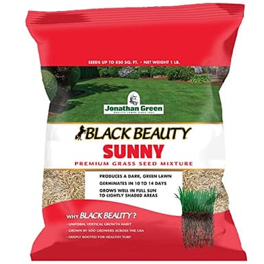 Jonathan Green (10895) Black Beauty Sunny Grass Seed - Cool Season Lawn Seed (1 lb)