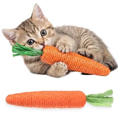 Zyghjort 2 PCS Kitten Teething Toys for Indoor Cats, Cat Chew Toy Natural Sisal Cat Teething Toys Orange Carrot Interactive Cats Kicker Toy Interactive Kitten Kicker for Indoor Kitty Exercise