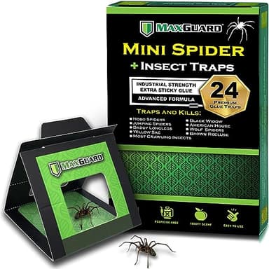 MaxGuard Mini Spider + Insect Traps (24 pcs Box Trap) | Non-Toxic Extra Sticky Glue Traps | Trap and Kill Hobo Spiders, Black Widow Spiders, Brown Recluse Spiders and Crawling Bugs |